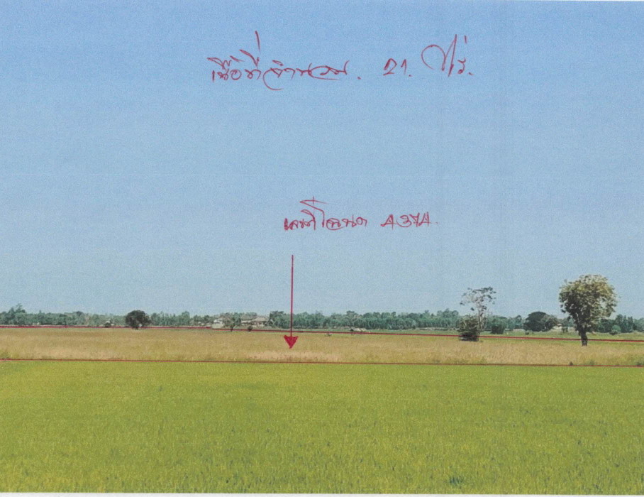 ขายทอดตลาด ที่ดินว่างเปล่า ต.วังมหากร อ.ท่าตะโก จ.นครสวรรค์