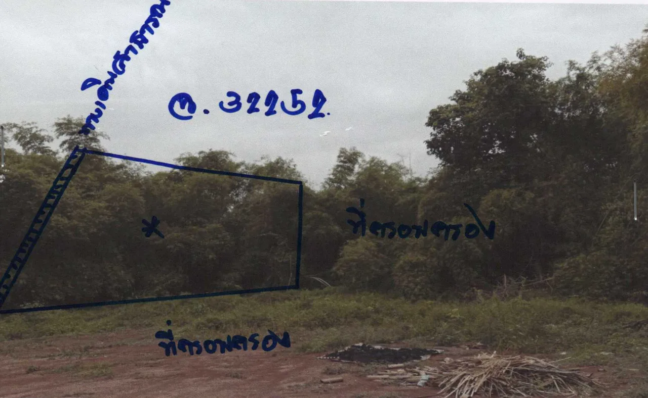 ขายทอดตลาด ที่ดินว่างเปล่า ต.โคกหม้อ อ.ชุมแสง จ.นครสวรรค์