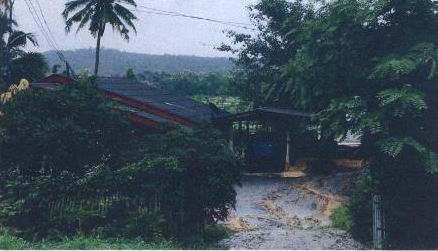 ขายทอดตลาด ที่ดินพร้อมสิ่งปลูกสร้าง ต.เชิงดอย อ.ดอยสะเก็ด จ.เชียงใหม่