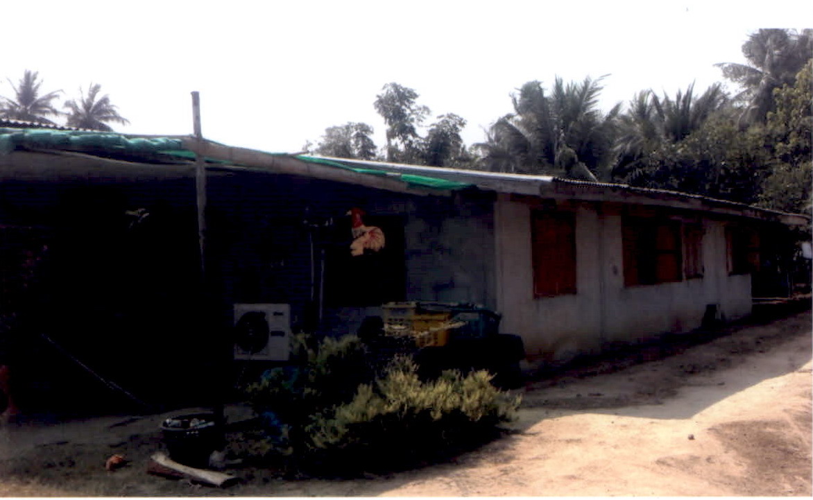 ขายทอดตลาด ที่ดินพร้อมสิ่งปลูกสร้าง ต.หนองกรด อ.บรรพตพิสัย จ.นครสวรรค์