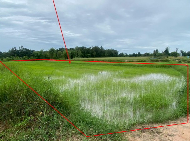 ขายทอดตลาด ที่ดินว่างเปล่า ต.ท่าตุ้ม อ.ป่าซาง จ.ลำพูน