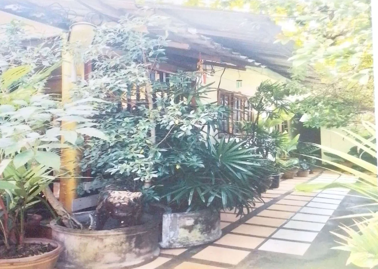 ขายทอดตลาด ที่ดินพร้อมสิ่งปลูกสร้าง ต.หนองตอง อ.หางดง จ.เชียงใหม่