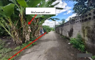 รูปทรัพย์ 2