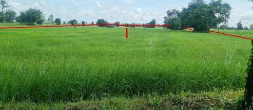 ขายทอดตลาด ที่ดินว่างเปล่า จ.กาฬสินธุ์