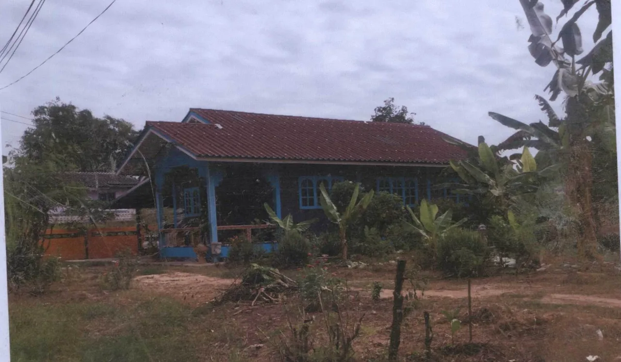 ขายทอดตลาด ที่ดินพร้อมสิ่งปลูกสร้าง ต.วัดไทรย์ อ.เมืองนครสวรรค์ จ.นครสวรรค์