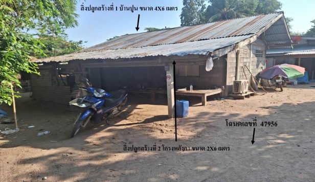 ขายทอดตลาด ที่ดินพร้อมสิ่งปลูกสร้าง ต.บางตาหงาย อ.บรรพตพิสัย จ.นครสวรรค์