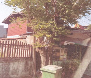 ขายทอดตลาด ที่ดินพร้อมสิ่งปลูกสร้าง ต.สงเปลือย อ.นามน จ.กาฬสินธุ์