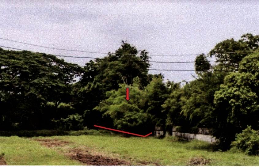 ขายทอดตลาด ที่ดินว่างเปล่า ต.เนินมะกอก อ.พยุหะคีรี จ.นครสวรรค์