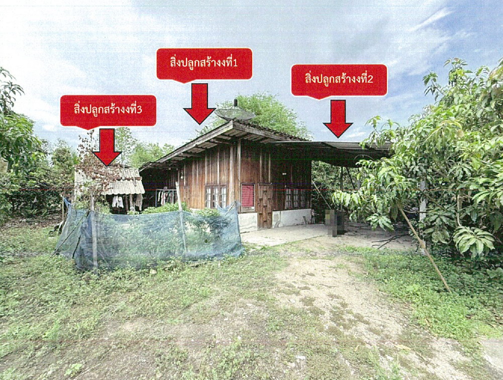 ขายทอดตลาด ที่ดินพร้อมสิ่งปลูกสร้าง ต.ป่าไหน่ อ.พร้าว จ.เชียงใหม่