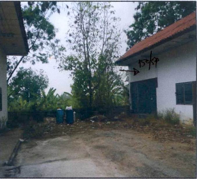 ขายทอดตลาด ที่ดินพร้อมสิ่งปลูกสร้าง ต.โชคชัย อ.โชคชัย จ.นครราชสีมา