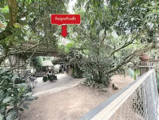 รูปทรัพย์ 2