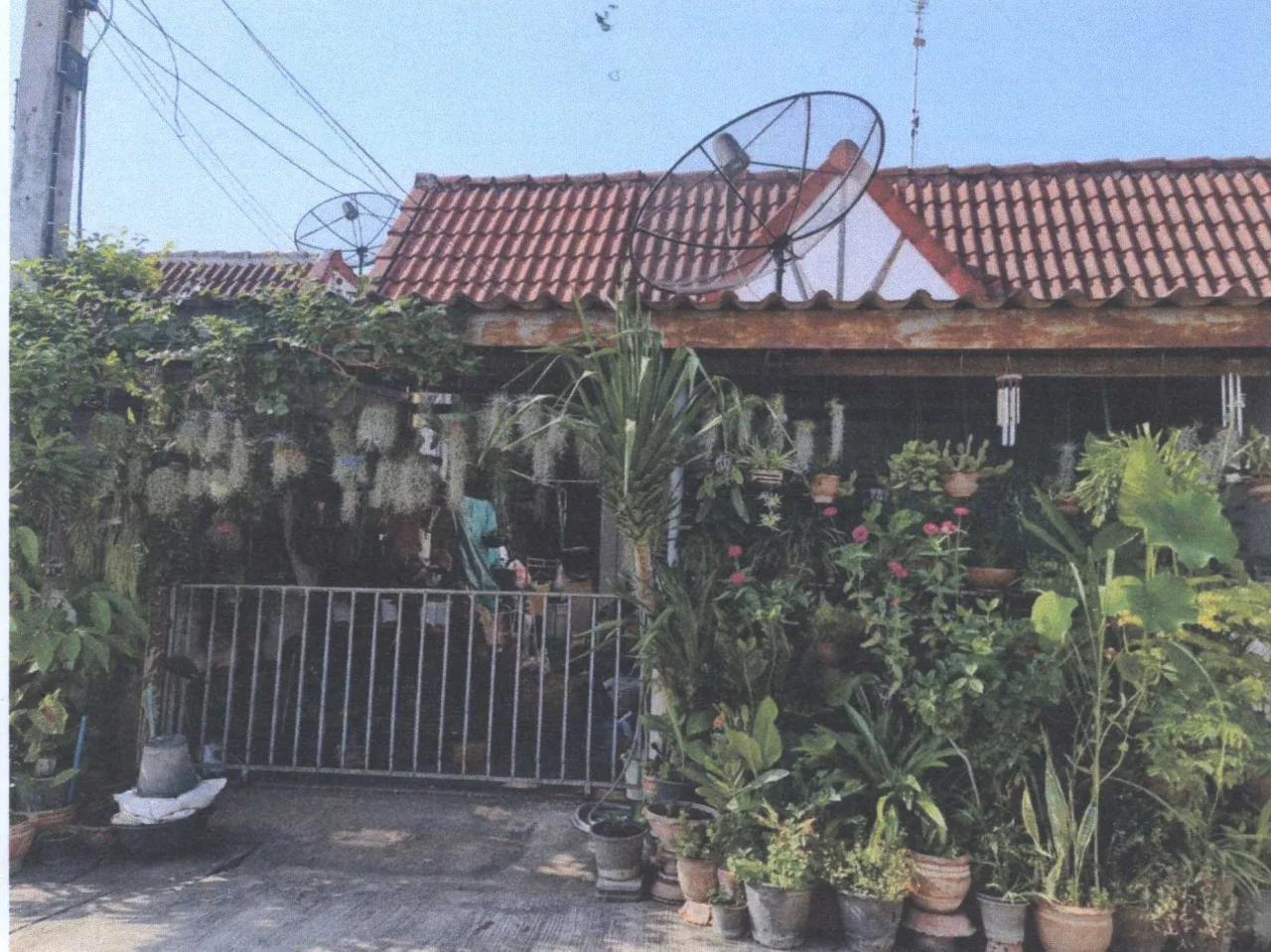 ขายทอดตลาด ที่ดินพร้อมสิ่งปลูกสร้าง ต.ท่ามะกา อ.ท่ามะกา จ.กาญจนบุรี