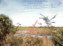 รูปทรัพย์ 1