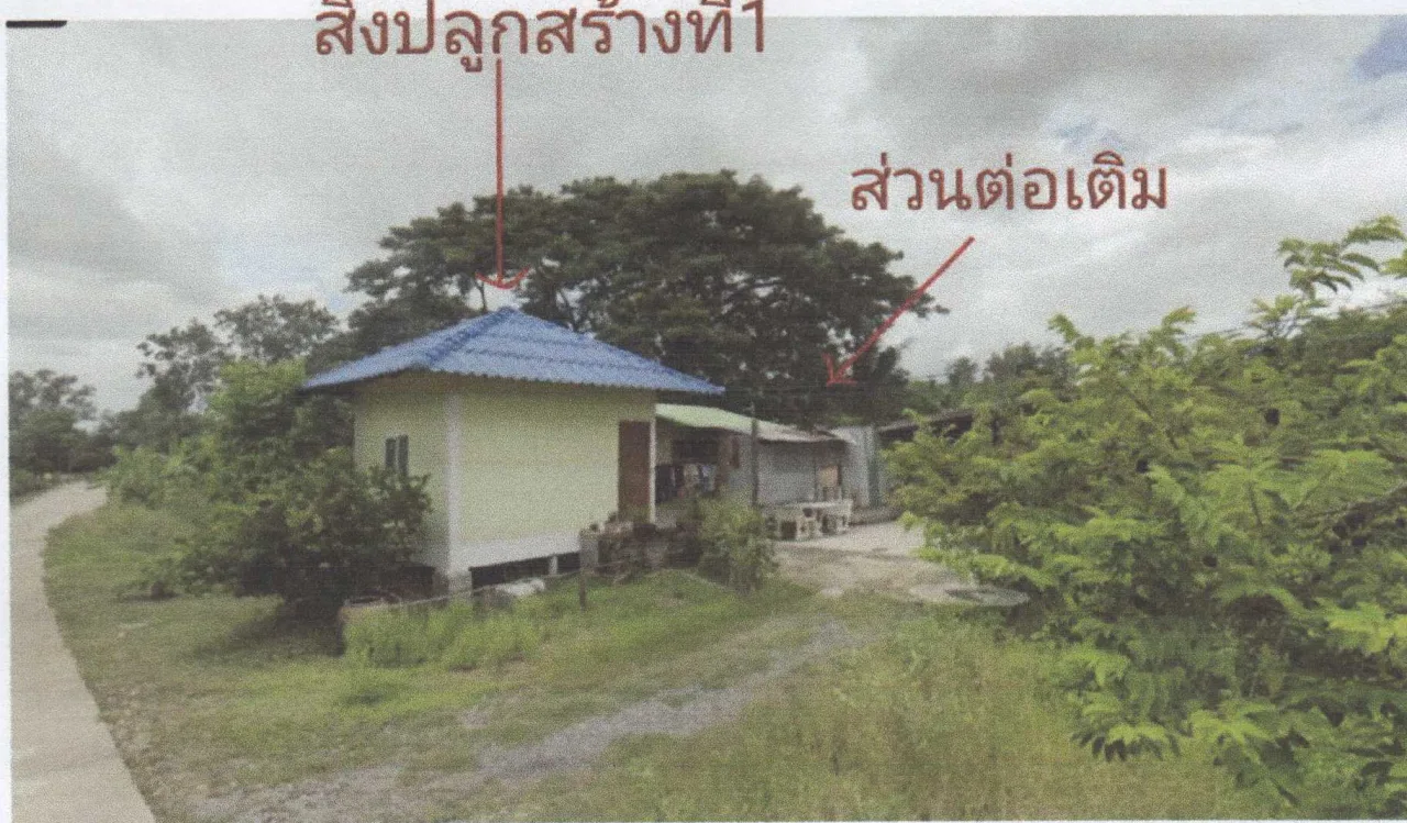 ขายทอดตลาด ที่ดินพร้อมสิ่งปลูกสร้าง ต.บางเคียน อ.ชุมแสง จ.นครสวรรค์