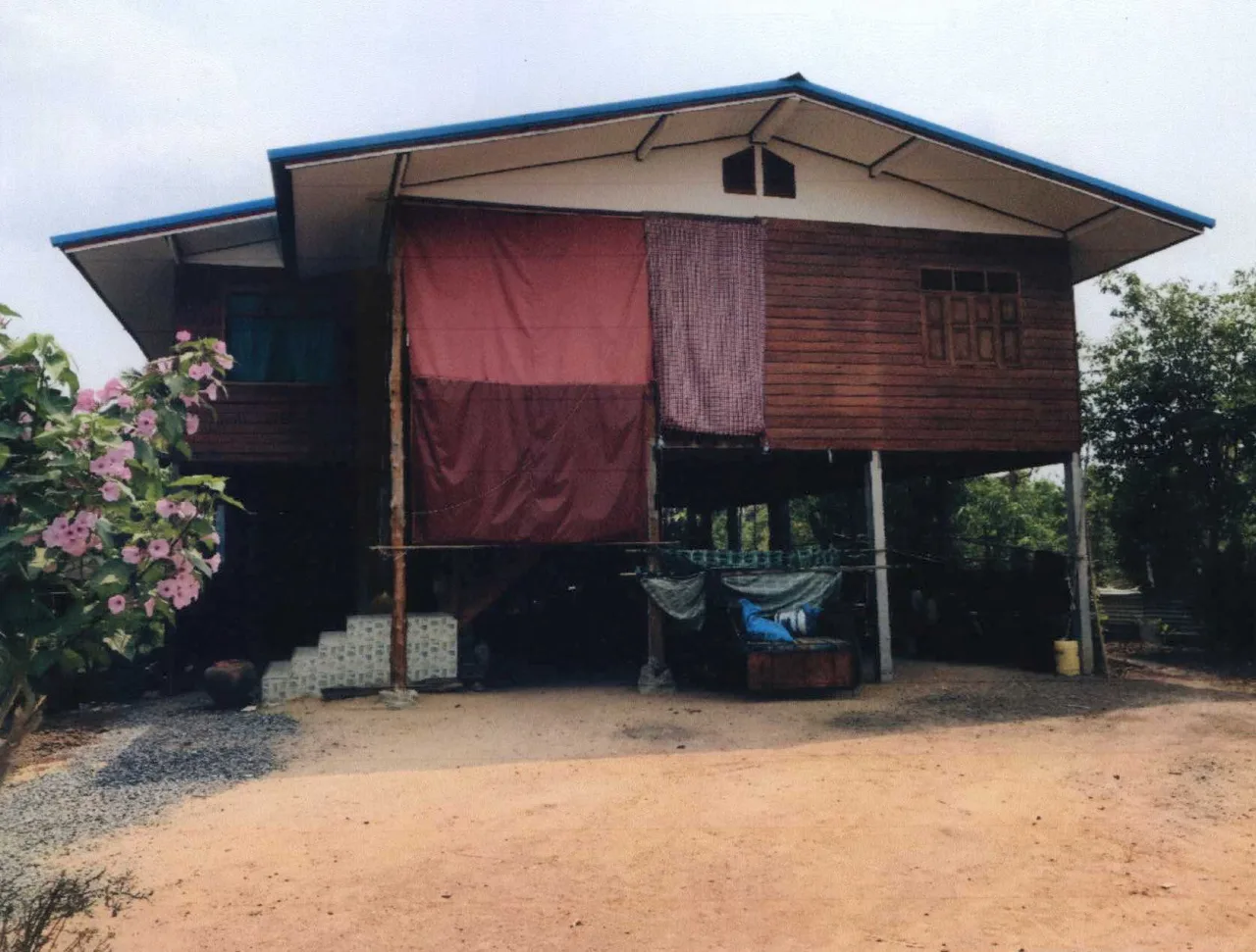 ขายทอดตลาด ที่ดินพร้อมสิ่งปลูกสร้าง ต.หนองกลับ อ.หนองบัว จ.นครสวรรค์