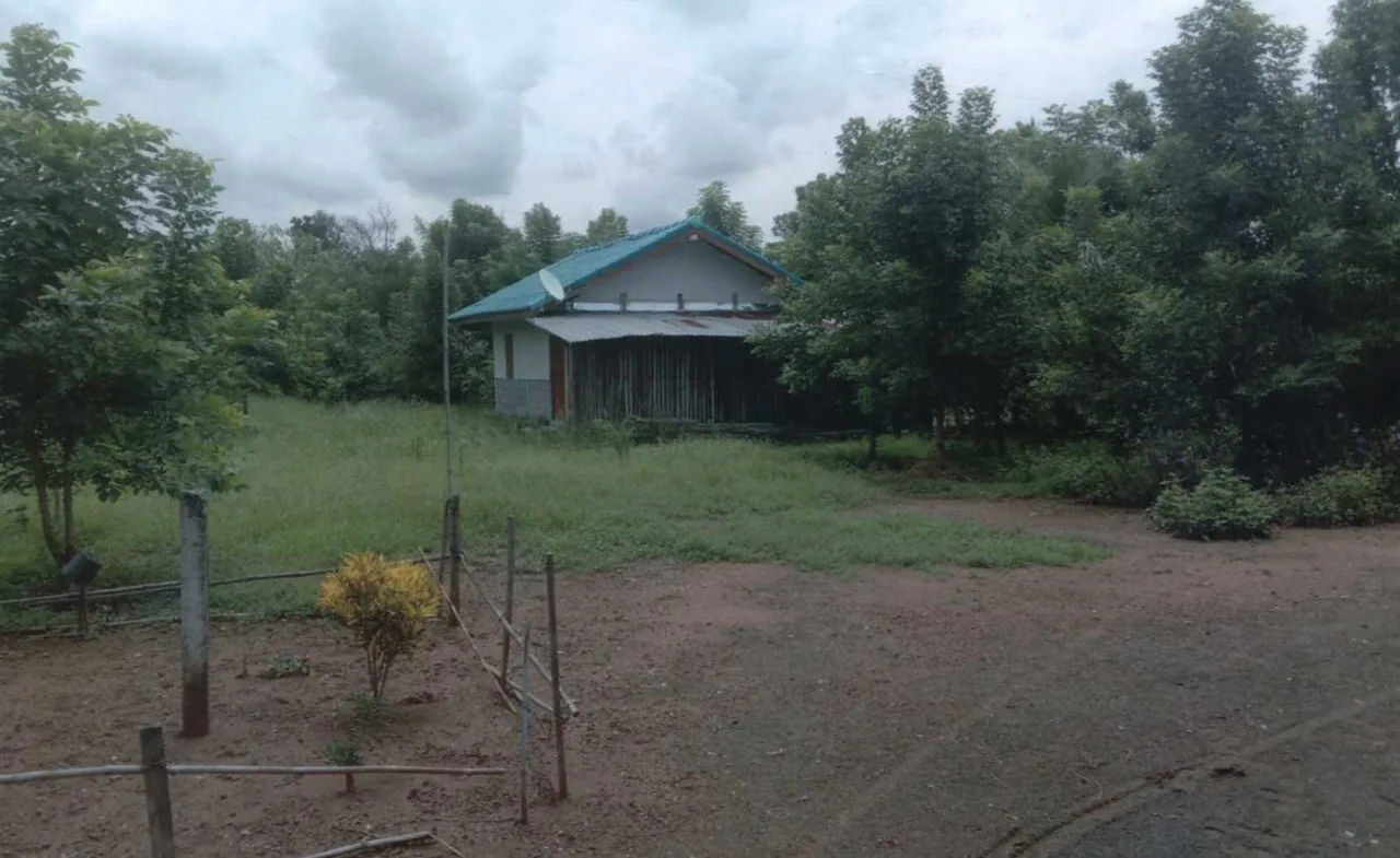 ขายทอดตลาด ที่ดินพร้อมสิ่งปลูกสร้าง ต.หนองกลับ อ.หนองบัว จ.นครสวรรค์