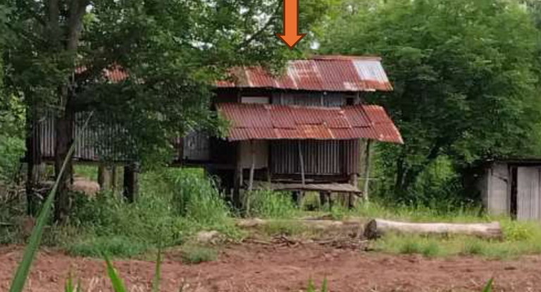 ขายทอดตลาด ที่ดินพร้อมสิ่งปลูกสร้าง ต.นาขอม อ.ไพศาลี จ.นครสวรรค์