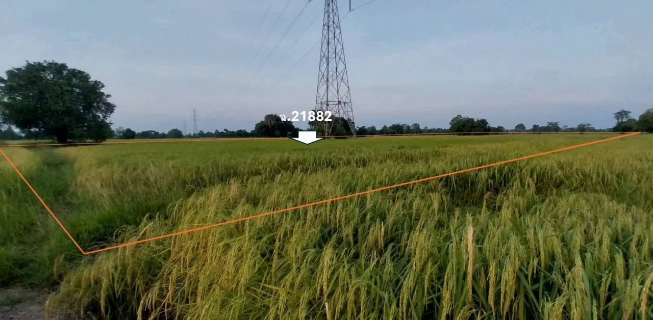 ขายทอดตลาด ที่ดินว่างเปล่า จ.ปราจีนบุรี