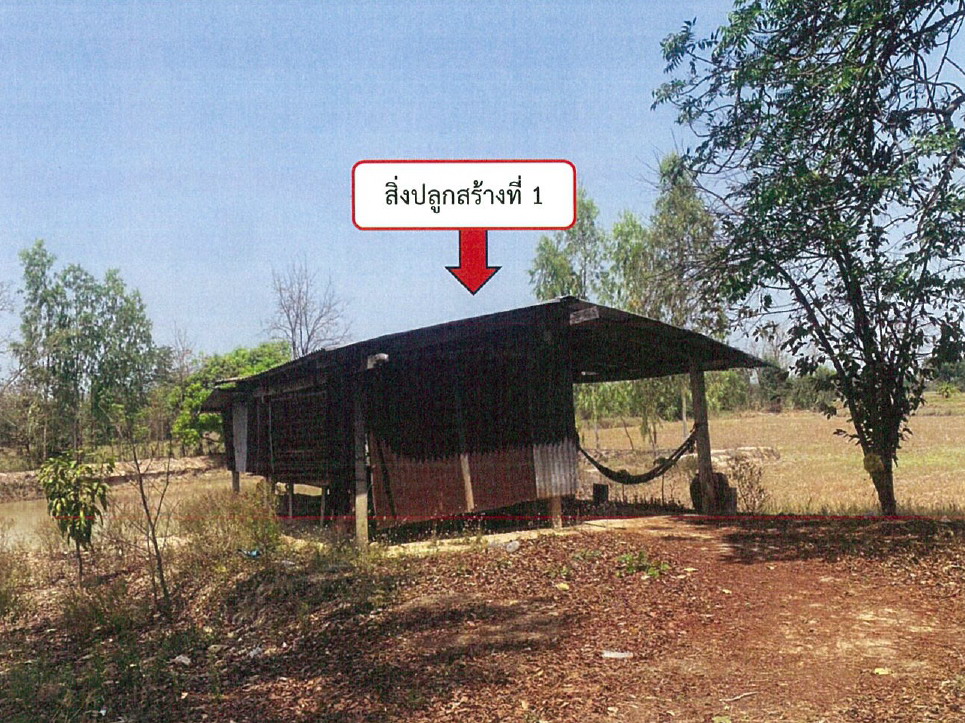 ขายทอดตลาด ที่ดินพร้อมสิ่งปลูกสร้าง ต.เนินขี้เหล็ก อ.ลาดยาว จ.นครสวรรค์