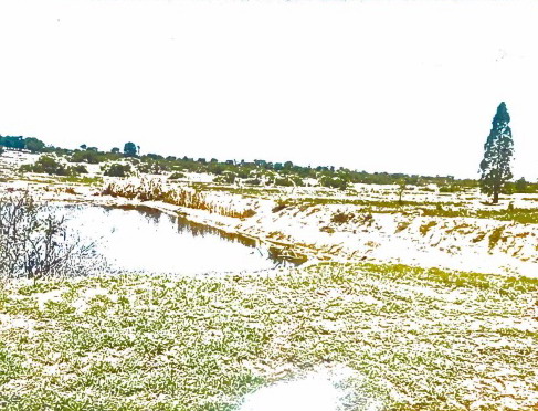 ขายทอดตลาด ที่ดินว่างเปล่า ต.หนองสรวง อ.ขามทะเลสอ จ.นครราชสีมา