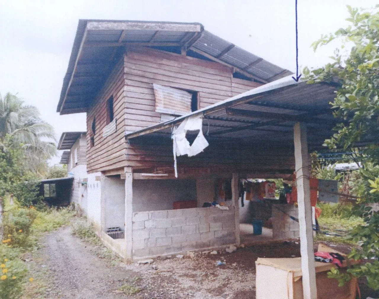 ขายทอดตลาด ที่ดินพร้อมสิ่งปลูกสร้าง ต.หัวดง อ.เก้าเลี้ยว จ.นครสวรรค์