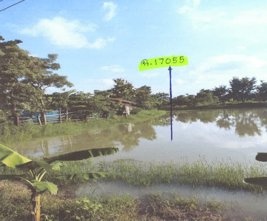 ขายทอดตลาด ที่ดินว่างเปล่า ต.สีสุก อ.จักราช จ.นครราชสีมา