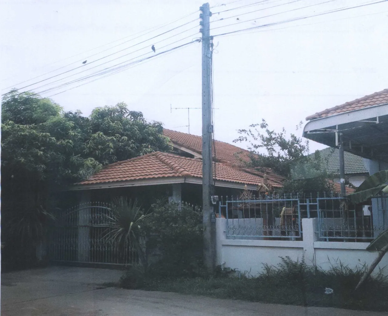 ขายทอดตลาด ที่ดินพร้อมสิ่งปลูกสร้าง ต.ตาคลี อ.ตาคลี จ.นครสวรรค์