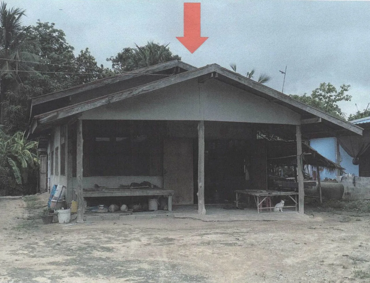ขายทอดตลาด ที่ดินพร้อมสิ่งปลูกสร้าง ต.ลาดยาว อ.ลาดยาว จ.นครสวรรค์