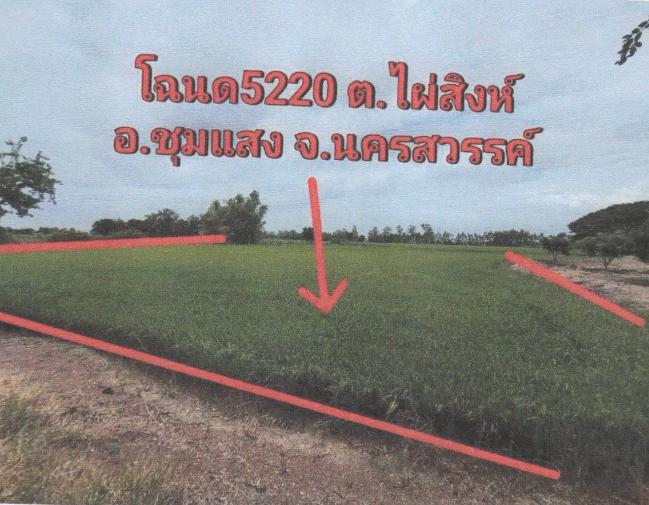 ขายทอดตลาด ที่ดินว่างเปล่า ต.ไผ่สิงห์ อ.ชุมแสง จ.นครสวรรค์