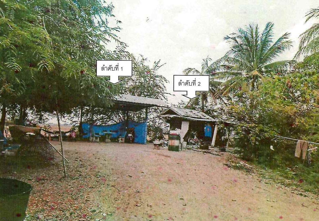ขายทอดตลาด ที่ดินพร้อมสิ่งปลูกสร้าง ต.หนองพลวง อ.จักราช จ.นครราชสีมา