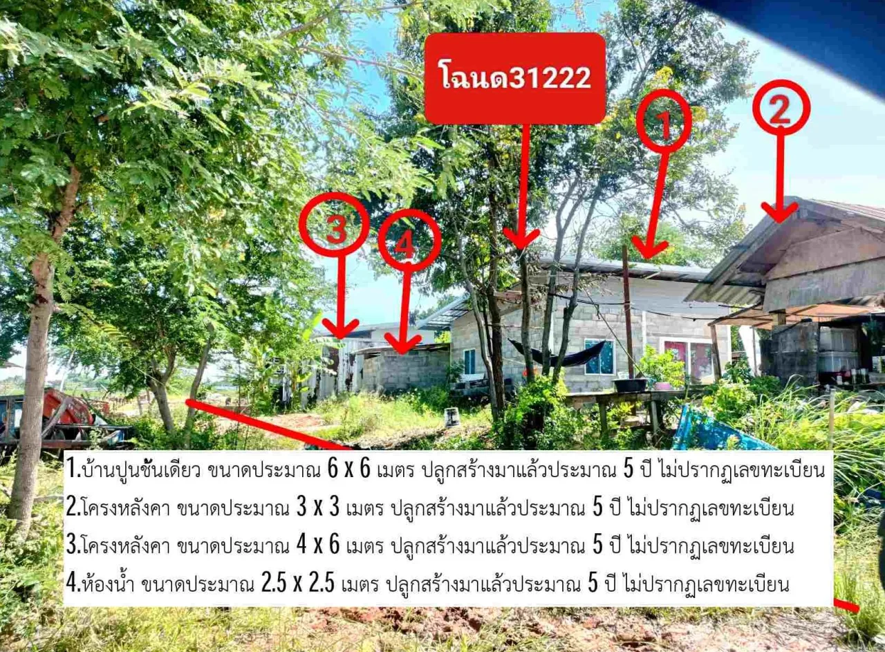 ขายทอดตลาด ที่ดินพร้อมสิ่งปลูกสร้าง ต.หนองสรวง อ.ขามทะเลสอ จ.นครราชสีมา