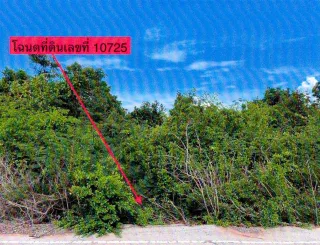 รูปทรัพย์ 1