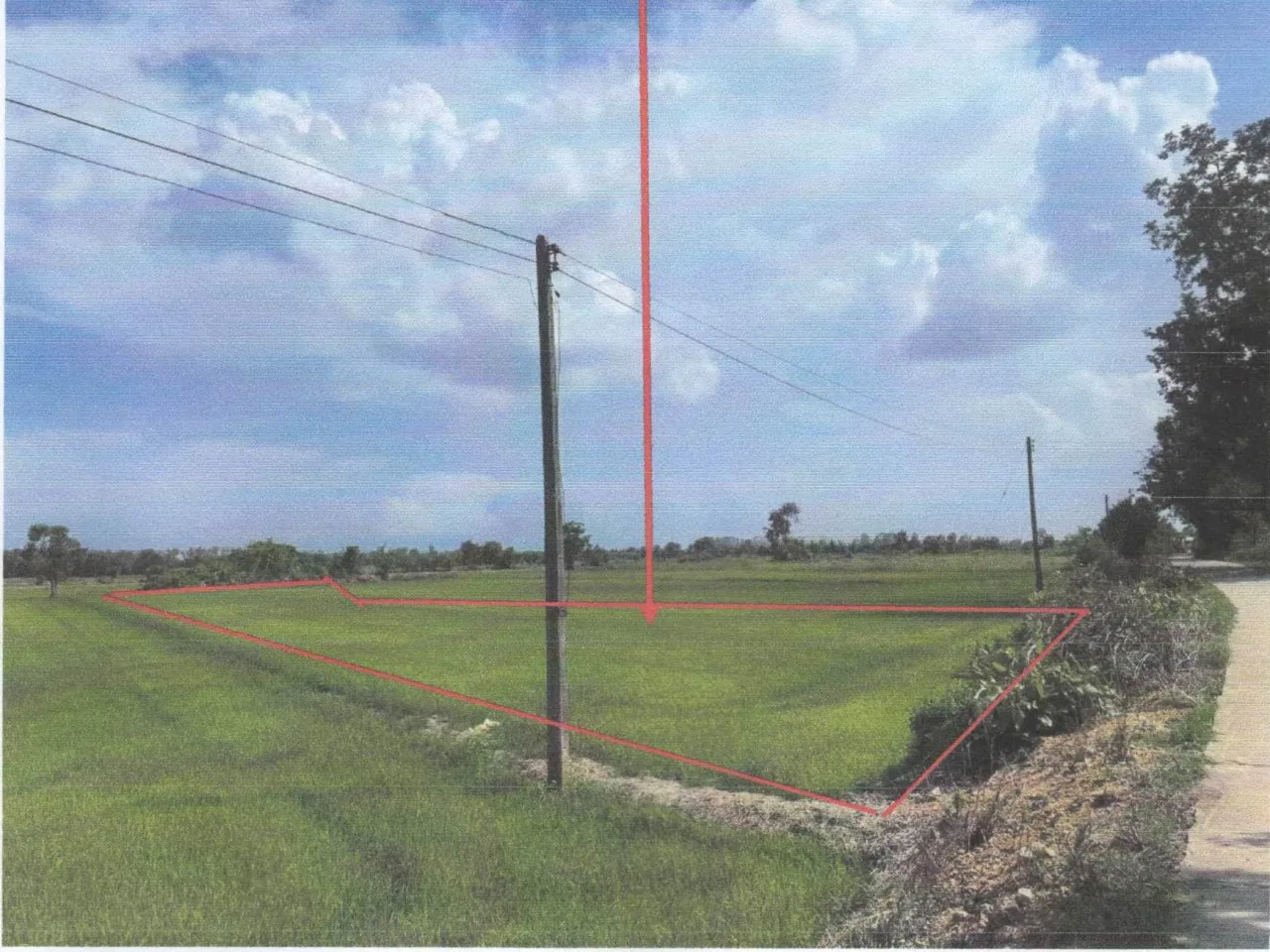 ขายทอดตลาด ที่ดินว่างเปล่า จ.สุพรรณบุรี