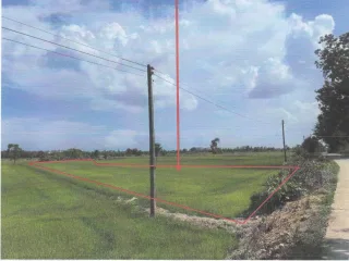 รูปทรัพย์ 1