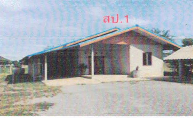 ขายทอดตลาด ที่ดินพร้อมสิ่งปลูกสร้าง ต.ดอนแสลบ อ.ห้วยกระเจา จ.กาญจนบุรี