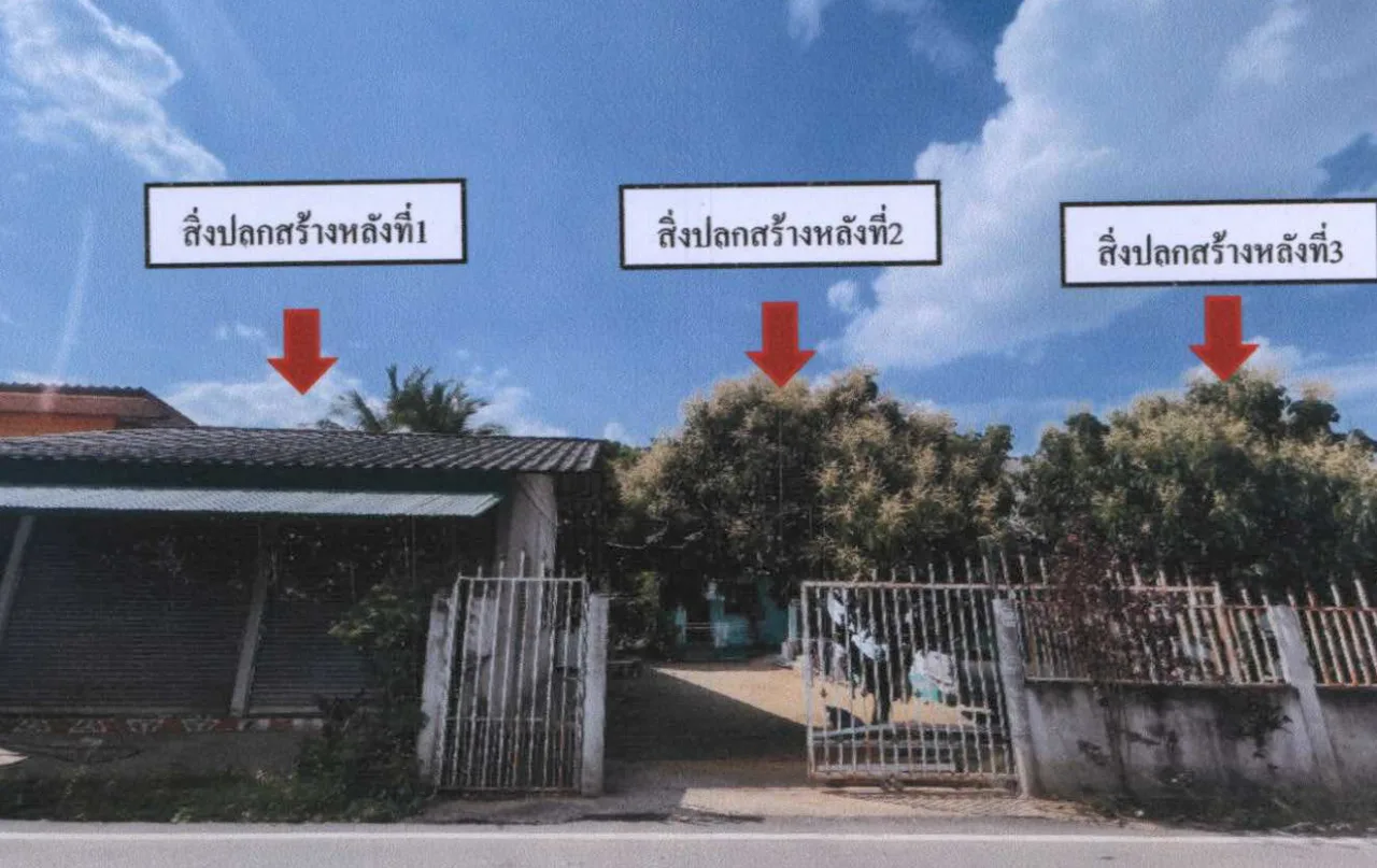 ขายทอดตลาด ที่ดินพร้อมสิ่งปลูกสร้าง ต.ช่อแล อ.แม่แตง จ.เชียงใหม่