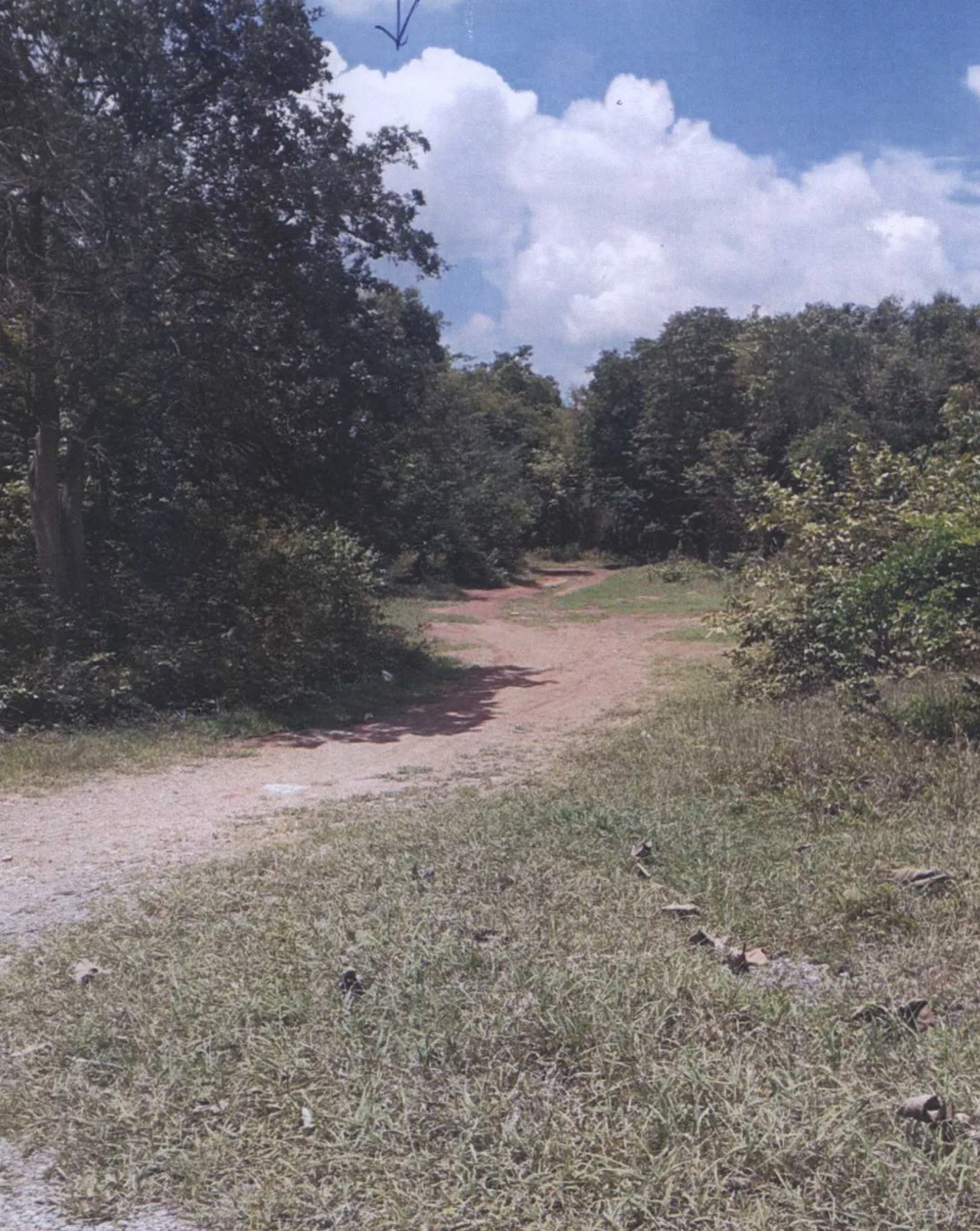 ขายทอดตลาด ที่ดินว่างเปล่า ต.หัวหวาย อ.ตาคลี จ.นครสวรรค์