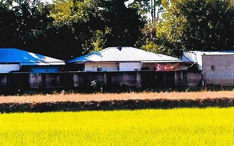 ขายทอดตลาด ที่ดินพร้อมสิ่งปลูกสร้าง ต.นครสวรรค์ตก อ.เมืองนครสวรรค์ จ.นครสวรรค์