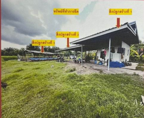 ขายทอดตลาด ที่ดินพร้อมสิ่งปลูกสร้าง ต.แซงบาดาล อ.สมเด็จ จ.กาฬสินธุ์
