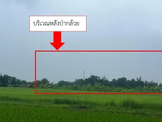 รูปทรัพย์ 1