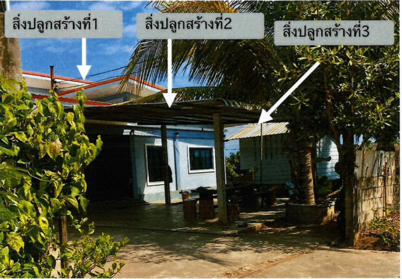 ขายทอดตลาด ที่ดินพร้อมสิ่งปลูกสร้าง ต.เขื่อนผาก อ.พร้าว จ.เชียงใหม่