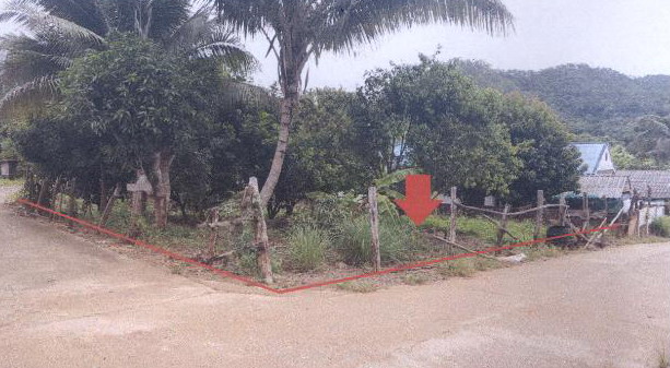 ขายทอดตลาด ที่ดินว่างเปล่า จ.เชียงใหม่