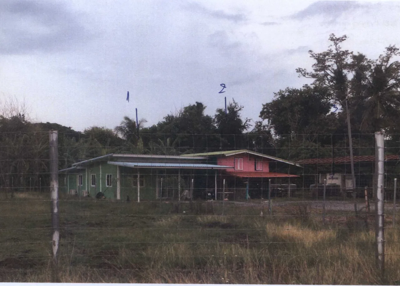 ขายทอดตลาด ที่ดินพร้อมสิ่งปลูกสร้าง ต.ลาดทิพรส อ.ตาคลี จ.นครสวรรค์