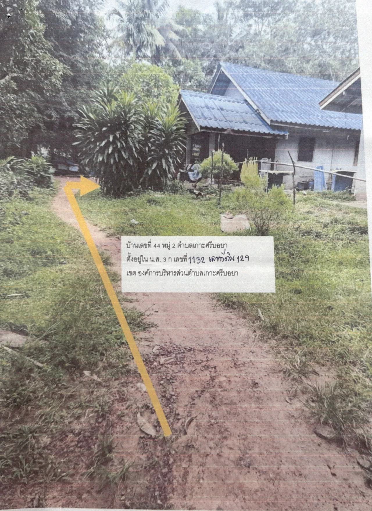 ขายทอดตลาด ที่ดินพร้อมสิ่งปลูกสร้าง ต.เกาะศรีบอยา อ.กิ่งอำเภอเหนือคลอง จ.กระบี่
