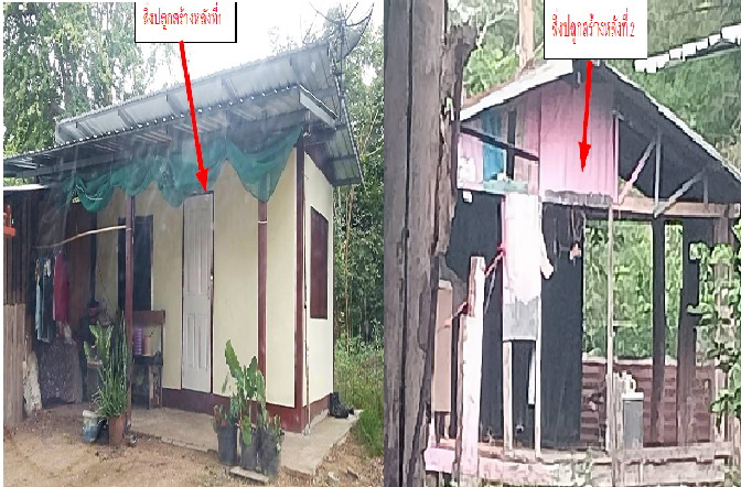 ขายทอดตลาด ที่ดินพร้อมสิ่งปลูกสร้าง ต.ตาคลี อ.ตาคลี จ.นครสวรรค์