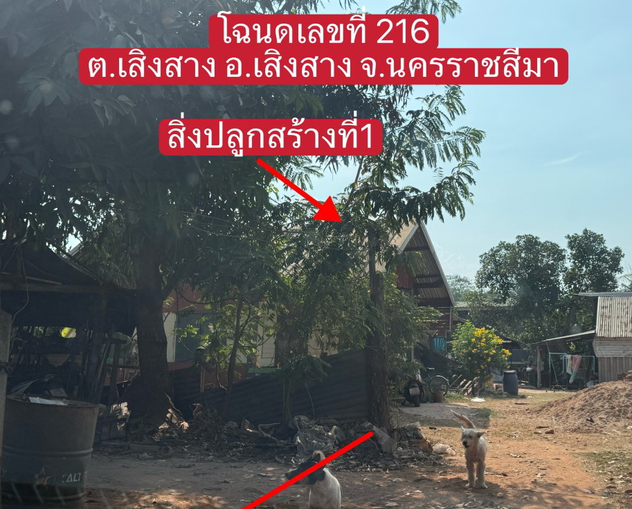 ขายทอดตลาด ที่ดินพร้อมสิ่งปลูกสร้าง ต.เสิงสาง อ.เสิงสาง จ.นครราชสีมา