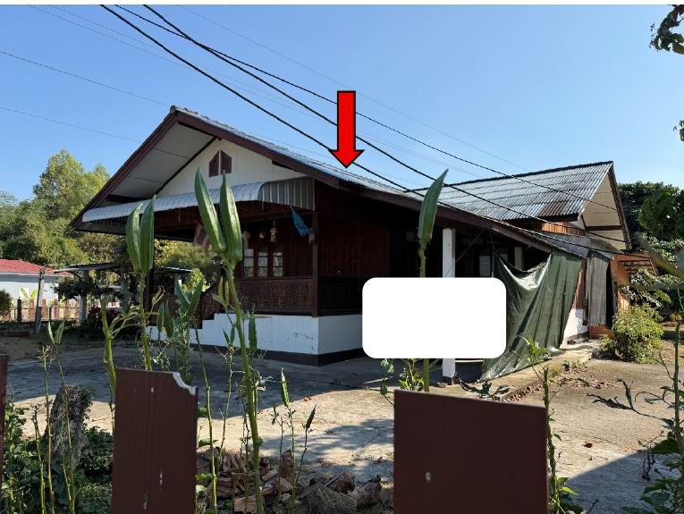 ขายทอดตลาด ที่ดินพร้อมสิ่งปลูกสร้าง ต.เหมืองแก้ว อ.แม่ริม จ.เชียงใหม่