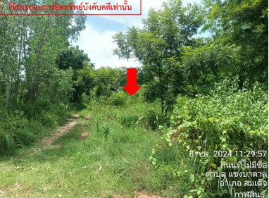 ขายทอดตลาด ที่ดินว่างเปล่า ต.แซงบาดาล อ.สมเด็จ จ.กาฬสินธุ์