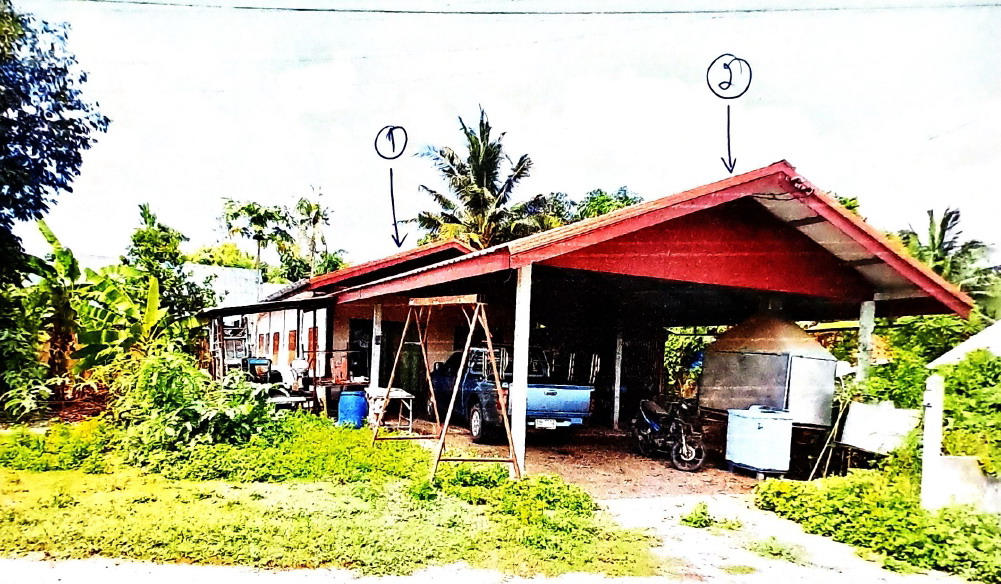 ขายทอดตลาด ที่ดินพร้อมสิ่งปลูกสร้าง ต.ดอน อ.ปักธงชัย จ.นครราชสีมา