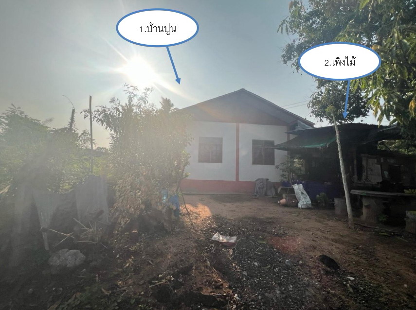 ขายทอดตลาด ที่ดินพร้อมสิ่งปลูกสร้าง ต.หนองหัวฟาน อ.ขามสะแกแสง จ.นครราชสีมา
